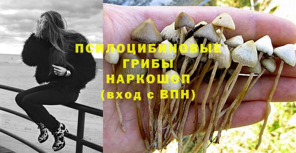 МДПВ Аркадак