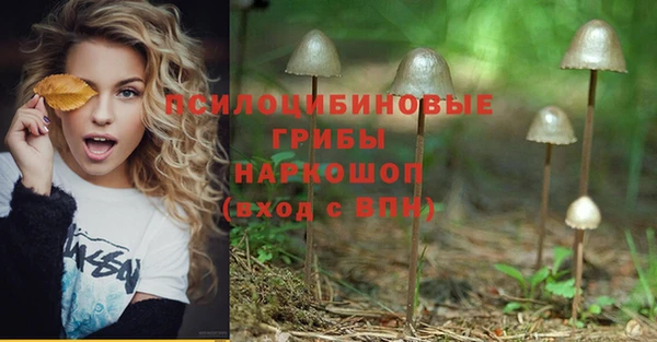 apvp Армянск